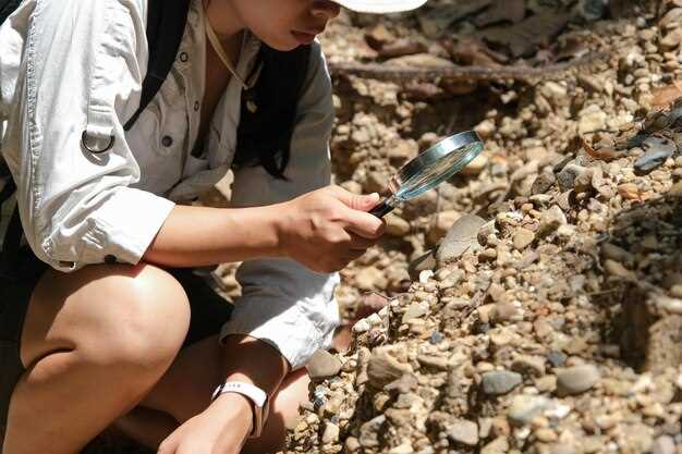 Common Missteps When Researching Locations
