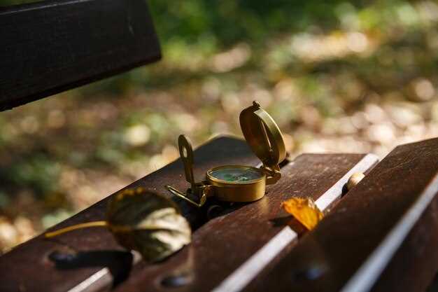 Navigating International Laws for Cross-Border Treasure Hunting